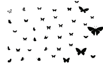 A collection of black butterfly silhouettes isolated on a transparent background, showcasing a variety of sizes and shapes