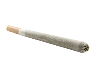 Long, pre-rolled blunt