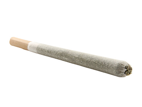 Long, pre-rolled blunt