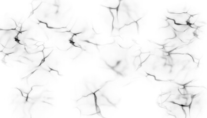 Abstract black and white fluid pattern with cracklike formations, isolated on transparent background