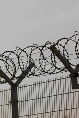 A sturdy barbed wire fence stretches out with a dramatic cloudy sky looming in the background, creating a stark contrast to the scene
