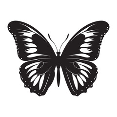 Vector art of black butterfly silhouette isolated on white background