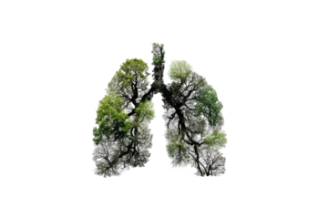 Lungs formed from interconnected tree branches and foliage, representing the connection between nature and respiration