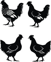 Four Chicken Silhouettes in Black and White A Farm Animal Illustration Featuring Domestic Birds in Contrasting Colors