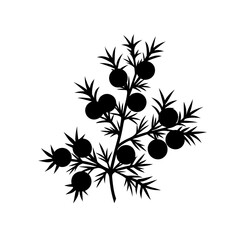 black and white flowers vector