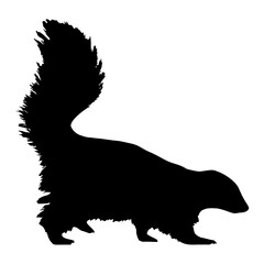 Vector Silhouette Of A Skunk.