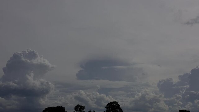 Graceful Cloud Motion and Bird Flight on a Clear Day, Video footage for cinematic in seasonal and nature scenes.