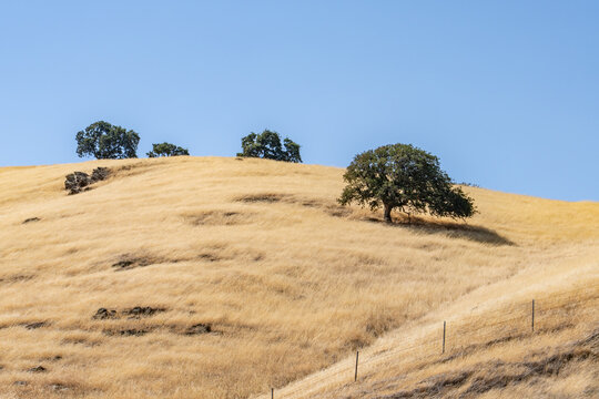 The Diablo Range is a mountain range in the California Coast Ranges. Mediterranean climate / dry summer climate. San Luis Reservoir Viewpoint Parking, Pacheco Pass Hwy, Merced County, California.

