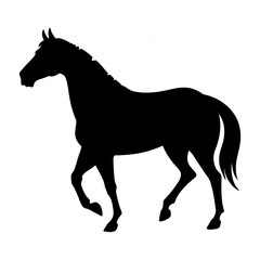 Horse silhouette running on white background illustration vector design