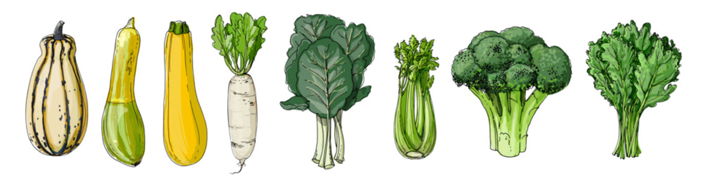 Hand Drawn Colorful Vegetables &ndash; Sketch Style Vector Set