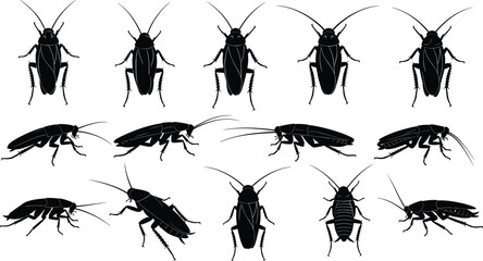 Cad Drawing Flat Vector Illustration, Cockroach Silhouette Set, Various Angles and Poses, Editable Pest Graphics, Insect Identification Theme