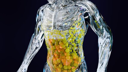 Anatomy Muscles tissues growth, Weight loss Comparison, body building or weightlifting training, Athlete body, bodybuilding fitness supplements, weight loss process, Fat belly burn, 3d render