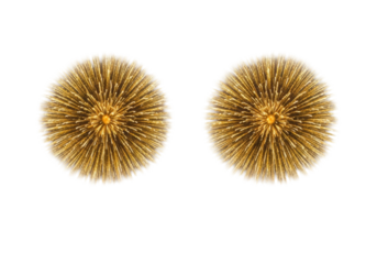 Two large, spherical golden firework bursts at peak explosion, radiating intense sparks and shimmering trails with amber, yellow, and white hues, isolated against a pure transparent background
