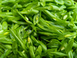 Fresh green beans cut into thin, long strips, ready to be cooked or used as an ingredient.