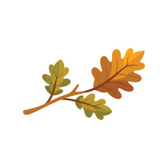 Oak branch flat vector illustration on white background.