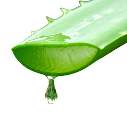 aloe gel dripping from a freshly cut aloe vera leaf isolated