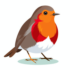 Robin Bird Illustration