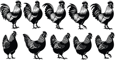 Set of rooster and hen silhouette illustrations, farm poultry vector icons, black and white chicken drawing collection for agriculture design