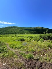 Grazing livestock and nomadic yurts on Mongolian steppe near Ulaanbaatar, captured during a horse riding tour