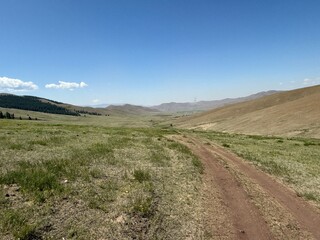 Grazing livestock and nomadic yurts on Mongolian steppe near Ulaanbaatar, captured during a horse riding tour