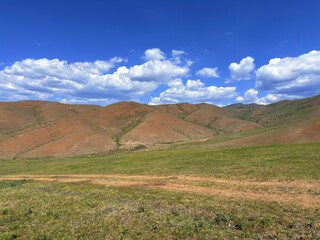 Grazing livestock and nomadic yurts on Mongolian steppe near Ulaanbaatar, captured during a horse riding tour
