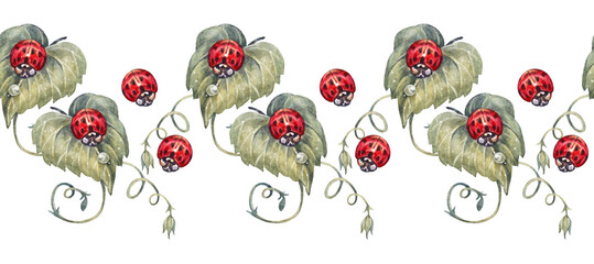 Watercolor seamless border with red ladybug on leaves with water drop on white background. Hand-drawn summer bloom flower chamomile plant for card. Rim for wedding invite. Wallpaper and wrapping © NatashaKun