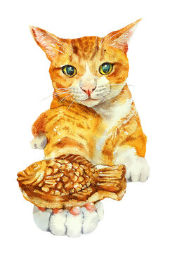 Orange Cat Invites You to Eat Taiyaki