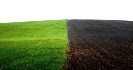 Lush green grass field meets dark tilled earth.  A clear division between cultivated and un-cultivated land