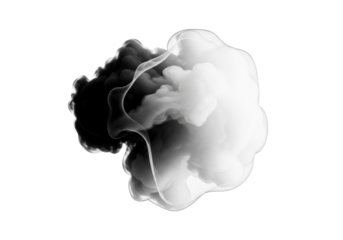 An abstract, organic form, seamlessly transitioning from deep black to transparent with soft textures, suspended against a stark white background in a UHD studio photo, evoking ethereal smoke in fluid
