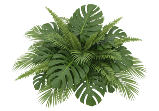 Lush tropical green leaves, Monstera deliciosa, ferns, and palm fronds, densely arranged and perfectly isolated on a seamless transparent background with no shadows, slightly high-angle studio shot,