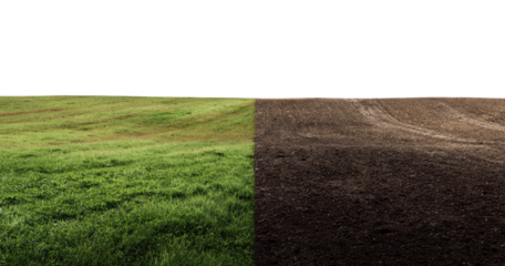 Divided field, grassy and tilled, contrasting textures