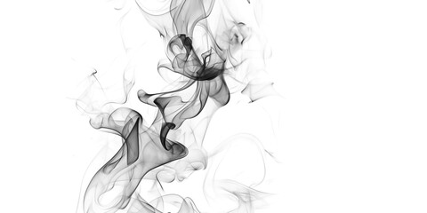 A completely black image showing absolutely nothing and being devoid of any visible content at all