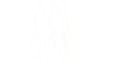 A digital rendering of branching white lines with multicolored accents on a black background space