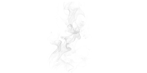 Abstract monochrome image with a central gray shape surrounded by black background pixels and noise