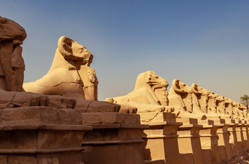 Avenue of ram-headed sphinxes at Karnak Temple in Luxor Egypt 28 February 2025