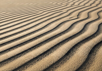 Fototapeta premium desert sand dunes with natural ripple patterns