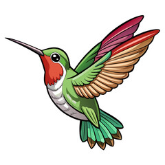 Obraz premium hummingbird and flower