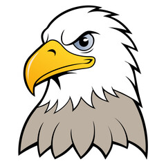 Fototapeta premium bald eagle vector illustration