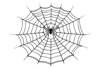 Fototapeta premium Detailed Spider on Web Isolated for Halloween, Nature, or Design Use
