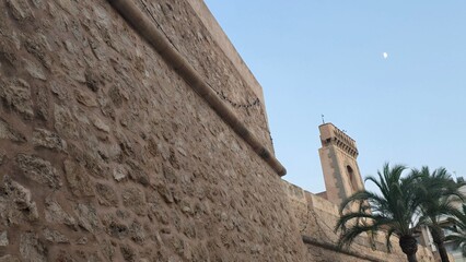 mur kamienny palmy zegar i księzyc © Miroslaw