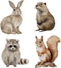 Vector clipart set featuring hare, squirrel, raccoon, and nutria illustrations. Perfect for wildlife projects, educational materials, and children&rsquo;s designs.