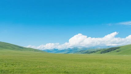 Vast Green Meadow Under a Clear Blue Sky with Scattered Clouds