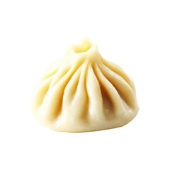 Soup Dumpling Isolated