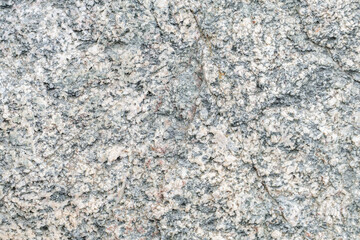  Biotite - hornblende quartz diorite to granodiorite (Granitic Rocks) . Garrapata Beach,  California State Route 1, Monterey County. Santa Lucia Ran