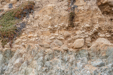 Marine terrace sand (Older Surficial Sediments) with Biotite - hornblende quartz diorite to granodiorite (Granitic Rocks) . Garrapata Beach,  California State Route 1, Monterey County. 