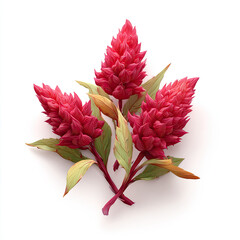 Botanical Bio-Luminescence