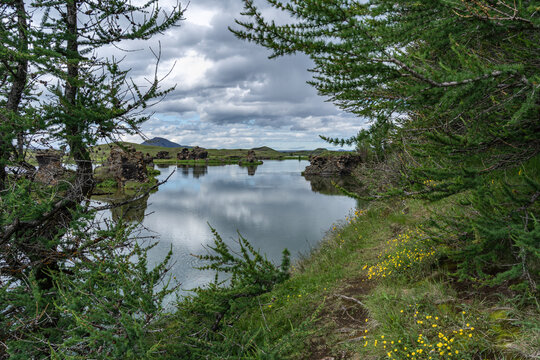 Wolken spiegeln sich im See Myvatn auf Island, im See befinden sich Lavaformationen, das Bild wird von B&auml;umen eingerahmt