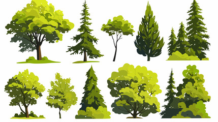 Fototapeta premium Varied Tree Collection: A vibrant collection of diverse tree species, each meticulously illustrated with lush foliage, standing as a testament to the variety of natural ecosystems.