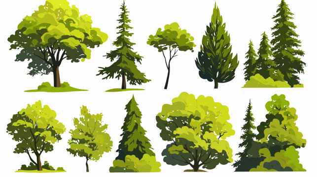 Varied Tree Collection: A vibrant collection of diverse tree species, each meticulously illustrated with lush foliage, standing as a testament to the variety of natural ecosystems.