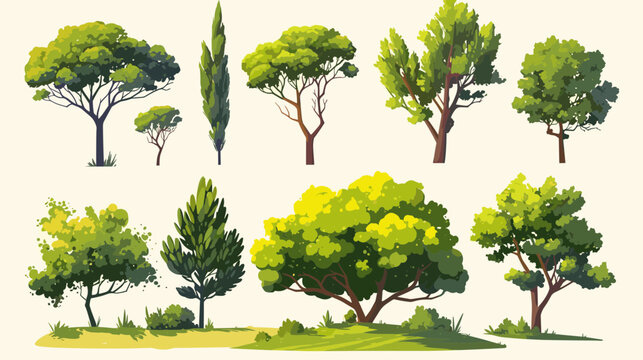 Diverse Tree Collection: A curated collection of diverse, meticulously illustrated trees showcases the beauty of nature and the varying forms found in arboreal life.